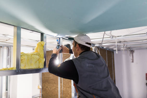 Best Specialized Insulation Services in Clark, SD